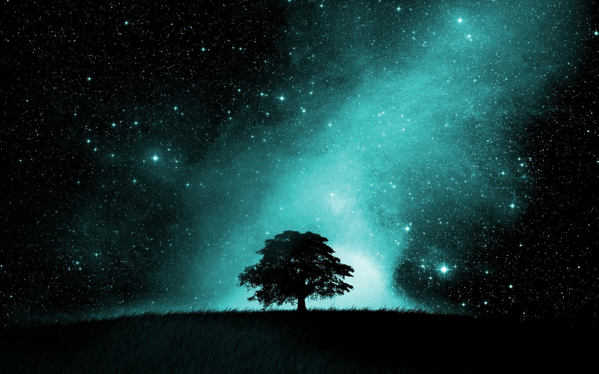 Wallpaper Night, Stars, Nebula, Tree - Resolution:1920x1200 - Wallpx