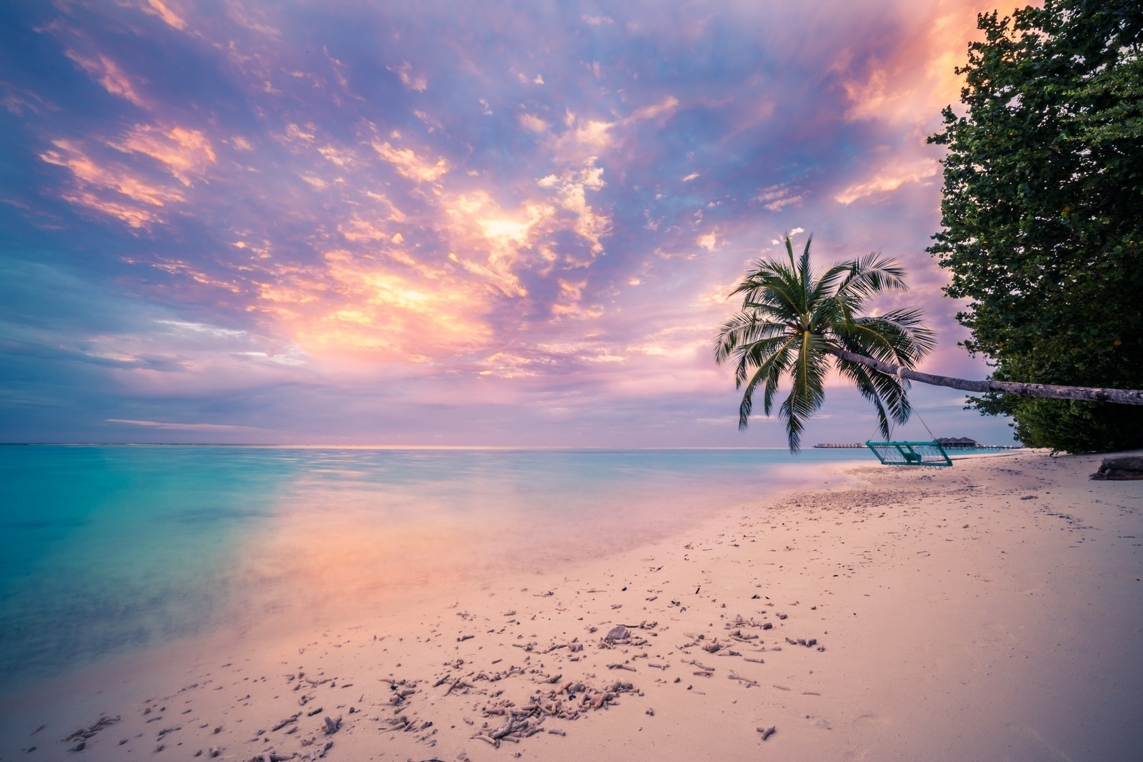 Wallpaper Ocean, Tree, Horizon, Sunset - Resolution:1600x1067 - Wallpx