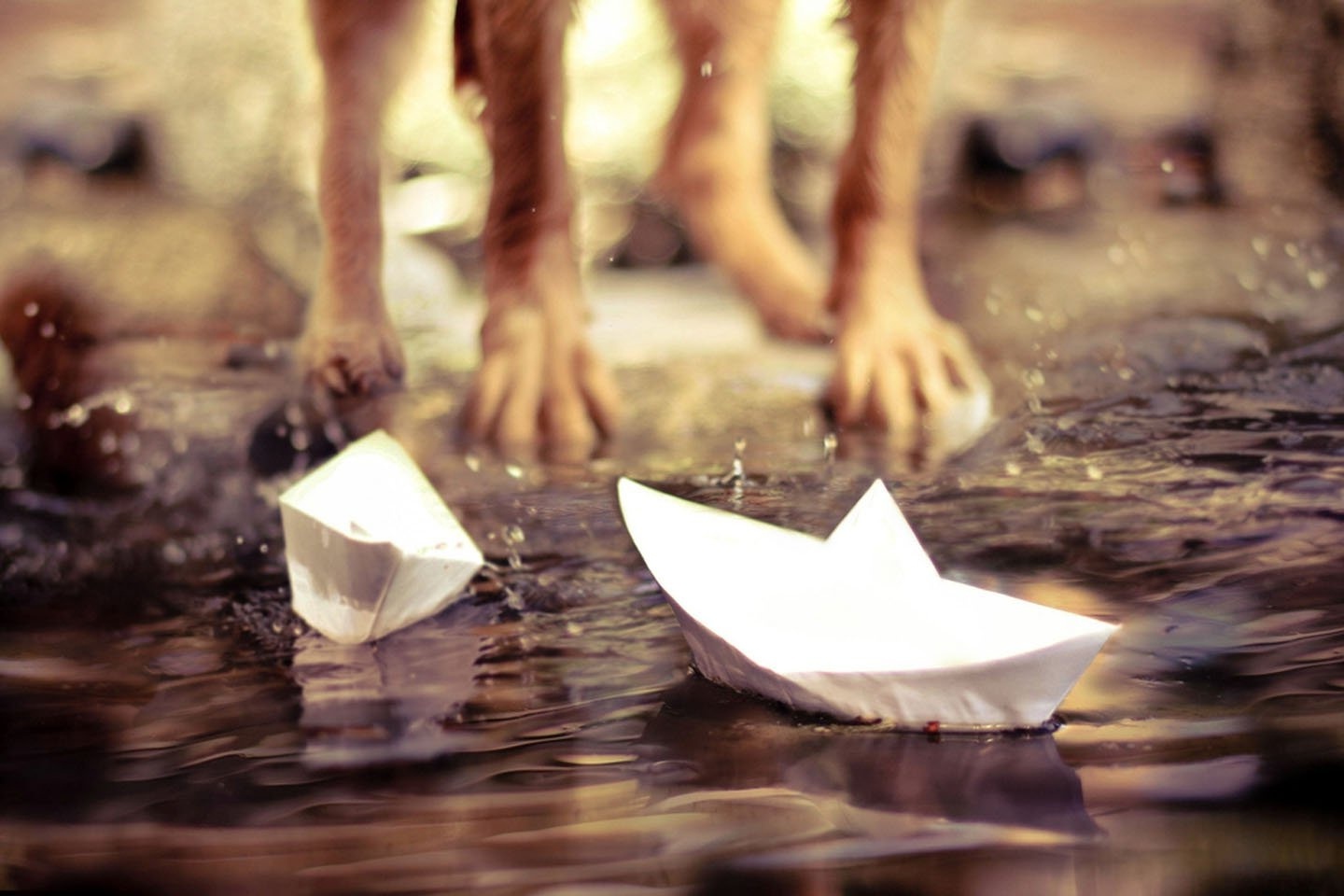 Слушать бумажные кораблики. Бумажный кораблик. Бумажный кораблик в луже. Ребенок с бумажным корабликом. Кораблик на воде.