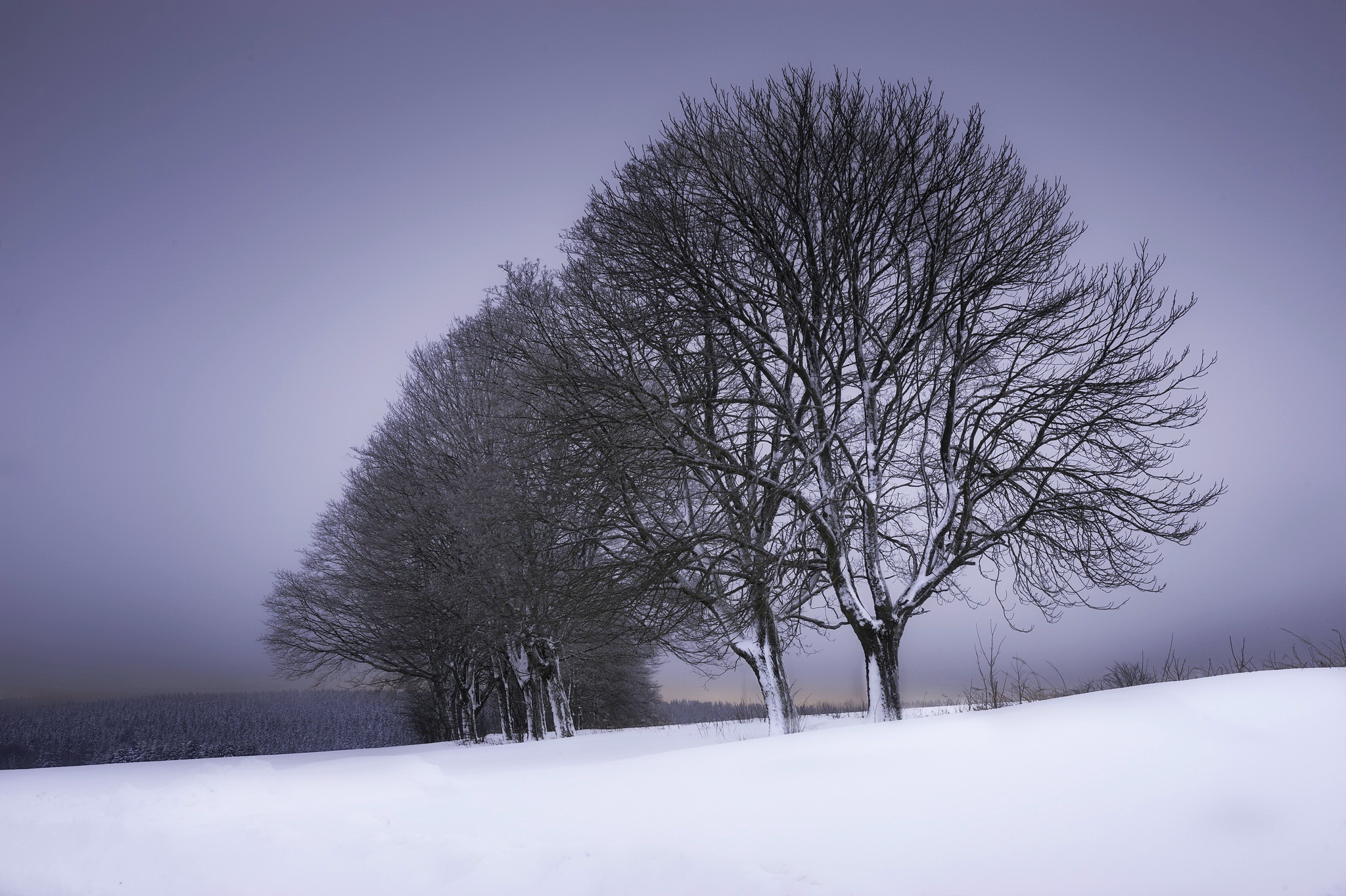 Wallpaper Sky, Field, Snow, Trees - Resolution:2048x1363 - Wallpx