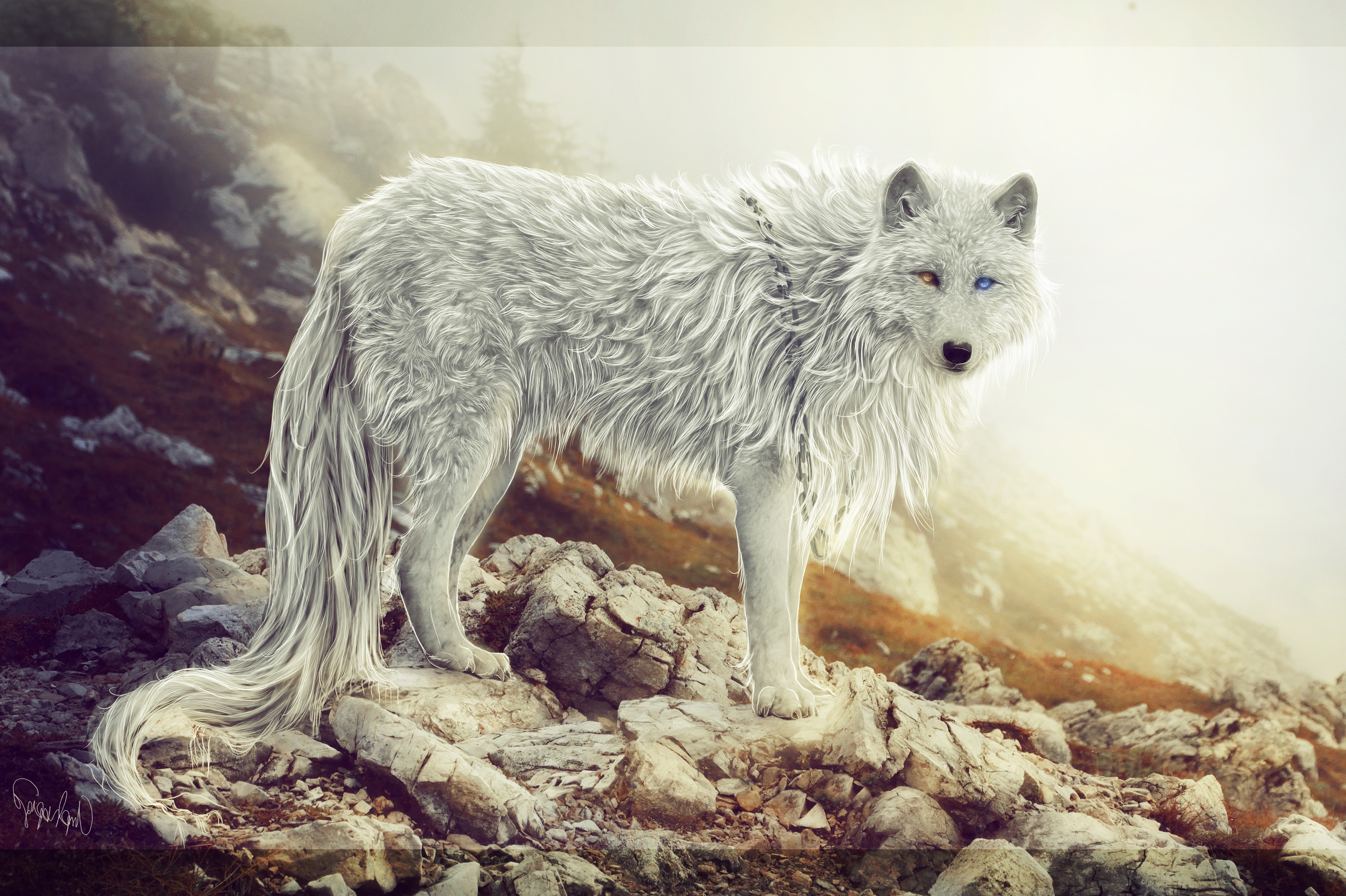 1024 56 64. Волк фэнтези. Волк арт. Белый волк. Белая волчица арт.