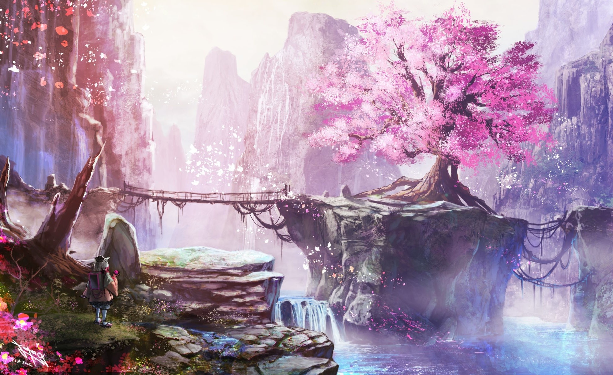 anime scenery cherry blossoms wallpaper