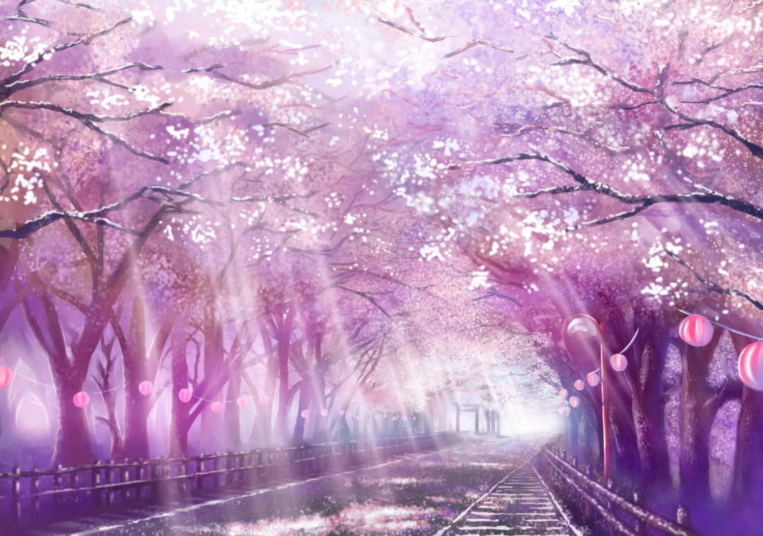 Wallpaper Sunlight, Anime Scenery, Scenic, Path, Sakura Blossom, Cherry ...