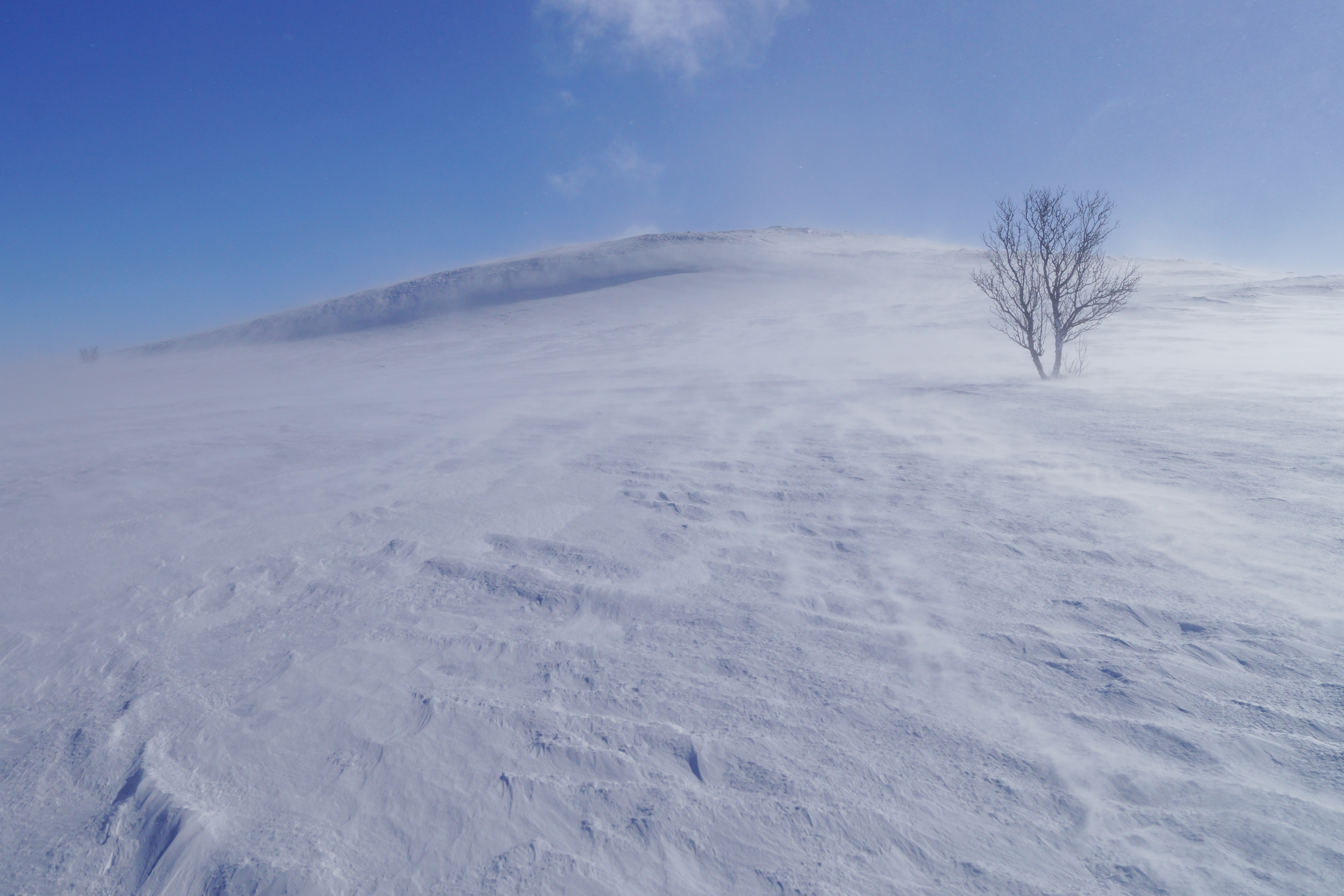 Поле с сугробами. Снежная равнина. Заснеженная равнина. Заснеженное поле. Снег поле.