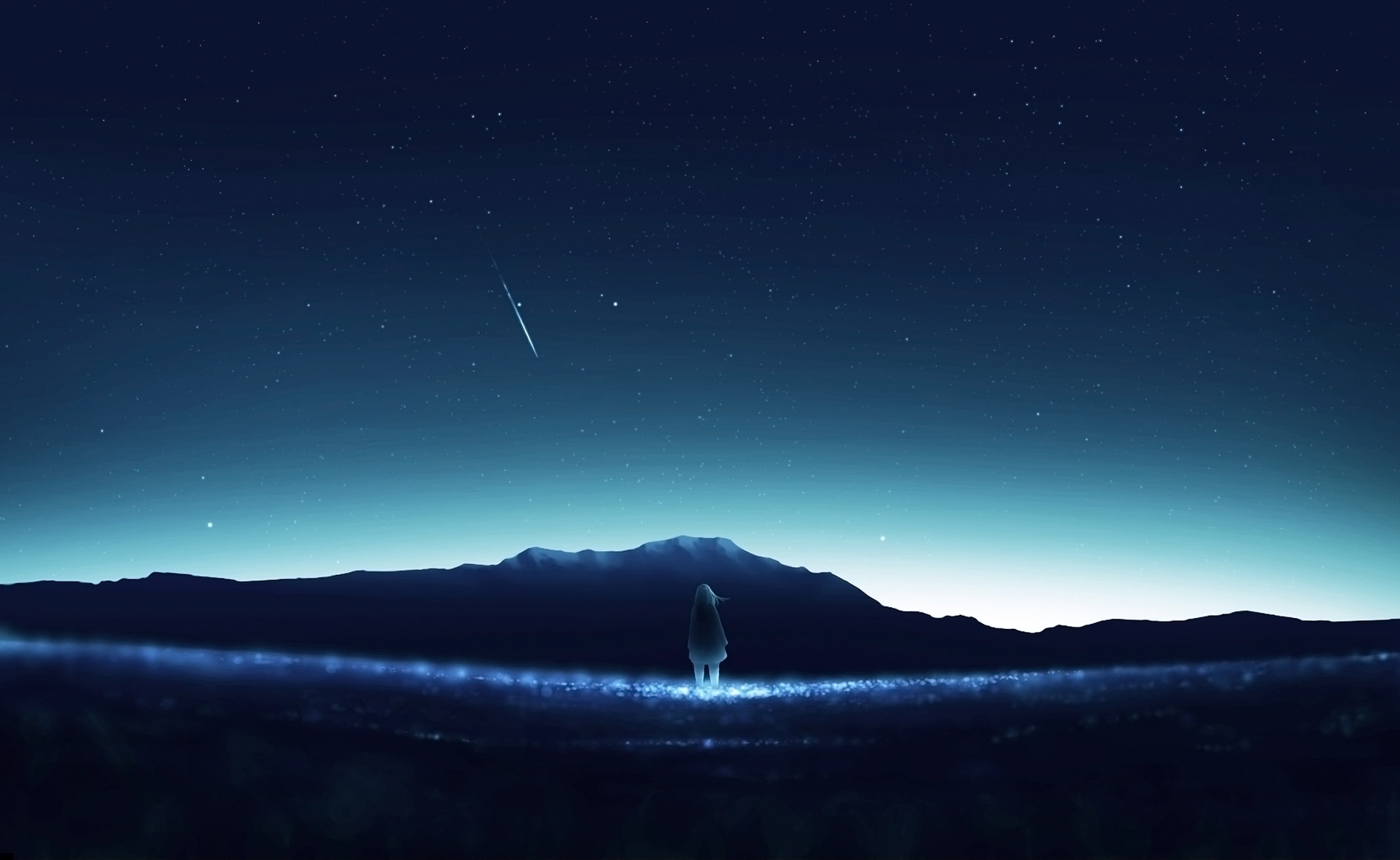 Wallpaper Night, Girl, Sky, Falling Star, Anime Landscape - Resolution ...