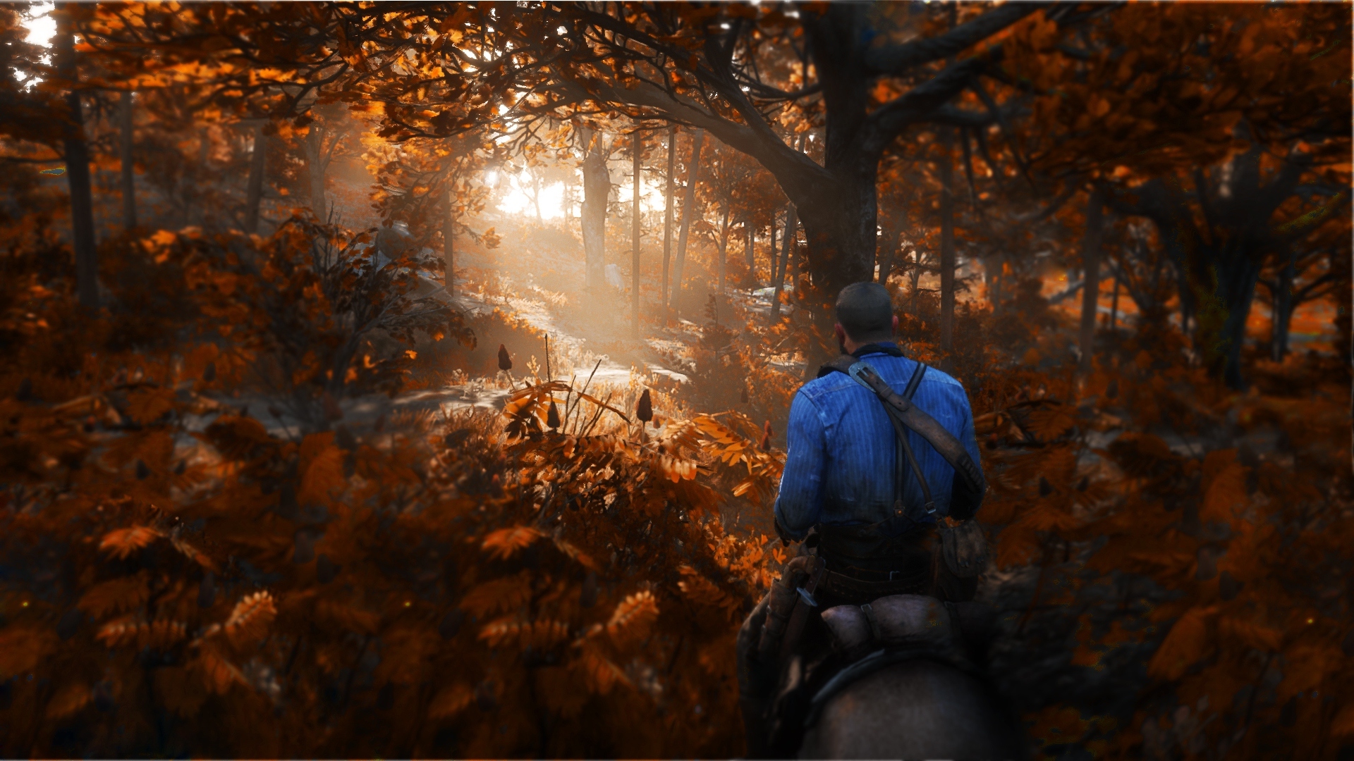 Red Dead Redemption 2, Autumn, Forest, Horse, Rdr2 Wallpaper.
