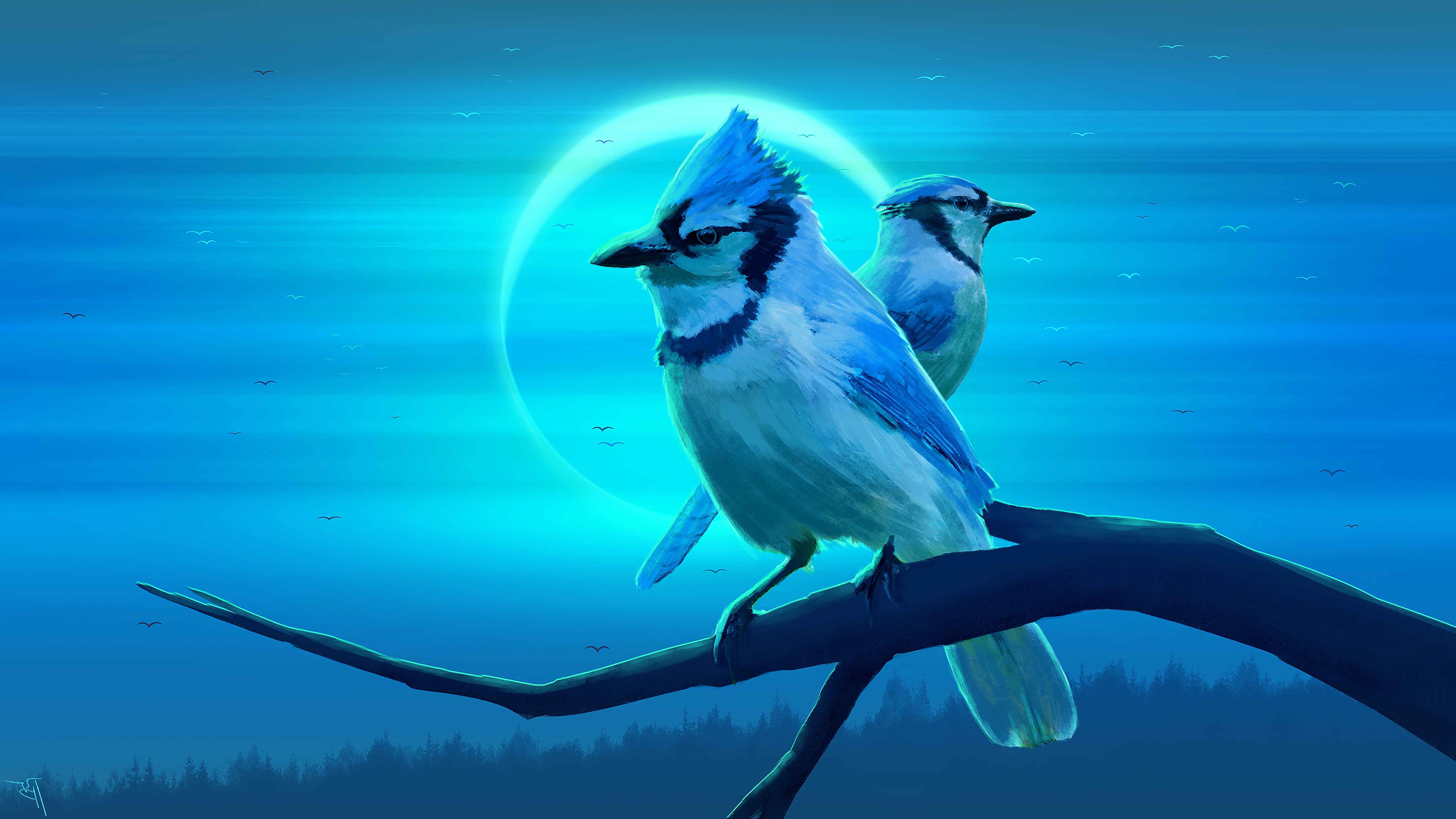 Синяя птица и енот. Птичка Сойка голубая. Стеллерова черноголовая голубая Сойка. Североамериканская голубая Сойка. Блу Джей птица.