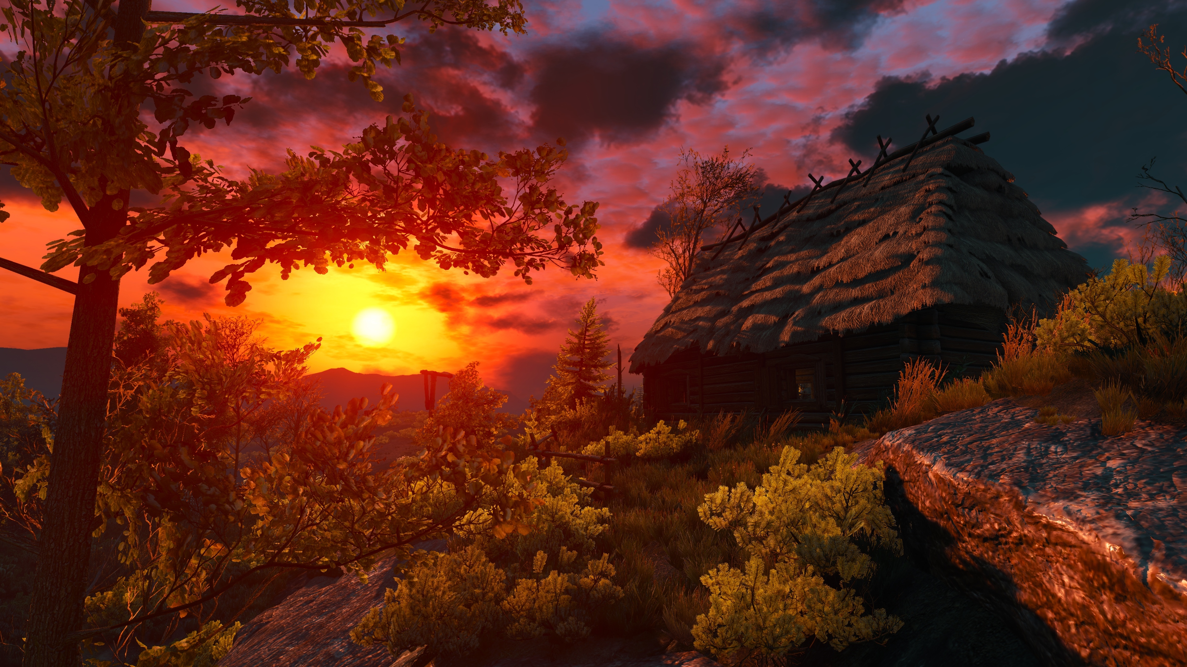 Nvidia geforce the witcher 3 фото 68