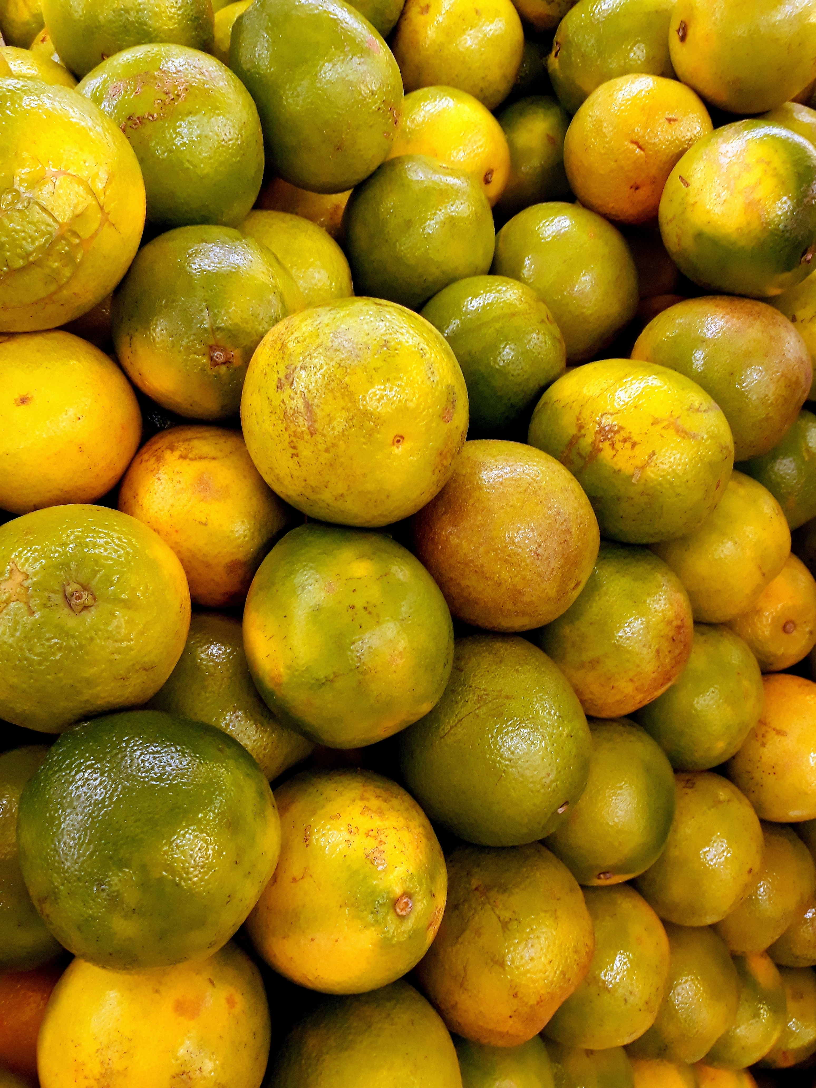 Желто зеленый фрукт. Цитрусовые фрукты манго. Зеленый фрукт цитрус. Маленький зеленый цитрус. Зелёный фрукт круглый.
