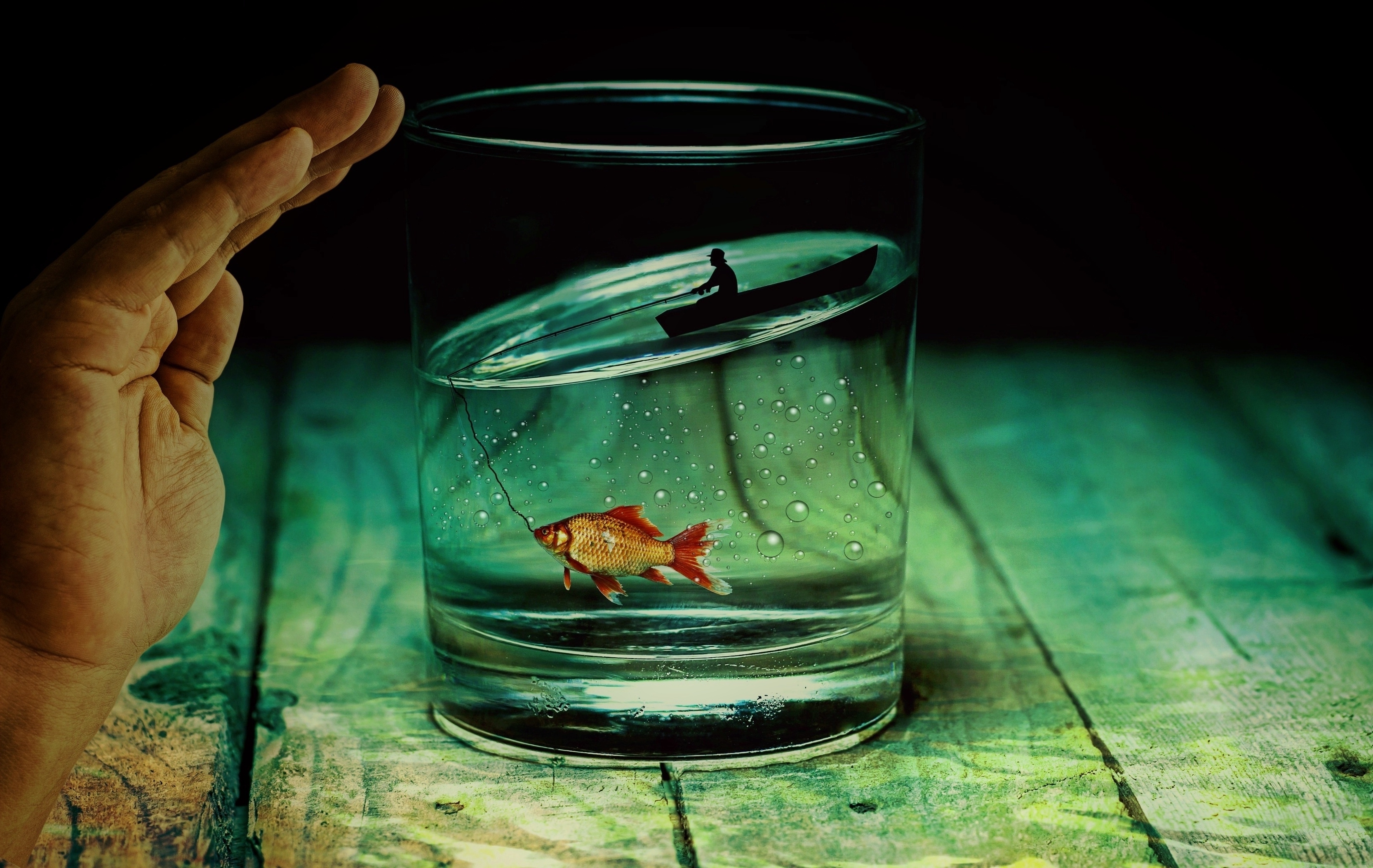 В бокале дна не видно. Рыбка в бокале. Рыбки для аквариума. Рыбка в банке. Золотая рыбка в бокале.