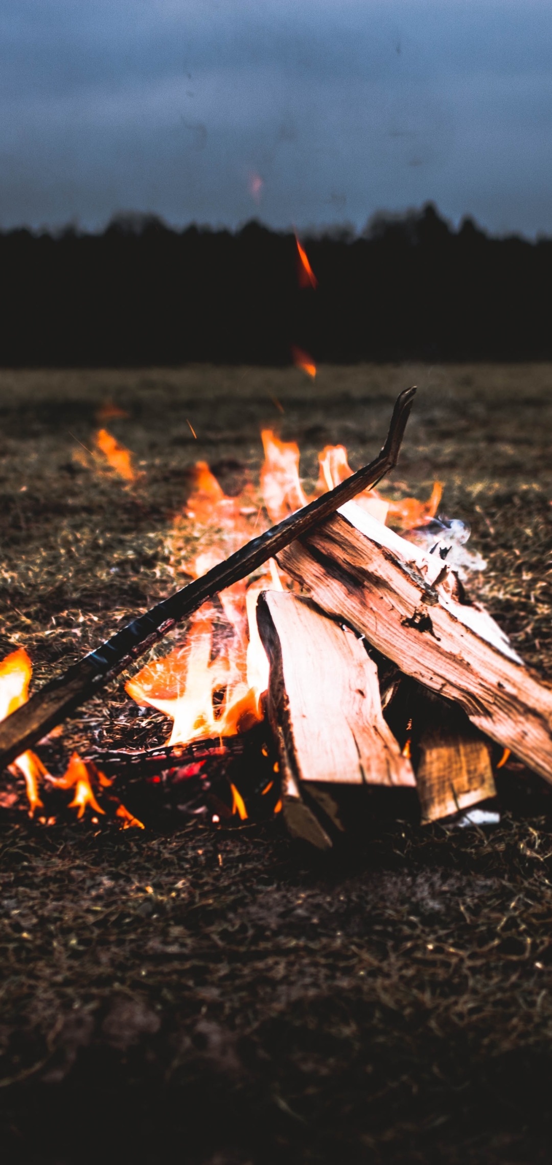Wallpaper Firewood, Night, Field, Bonfire, Campfire - Resolution ...