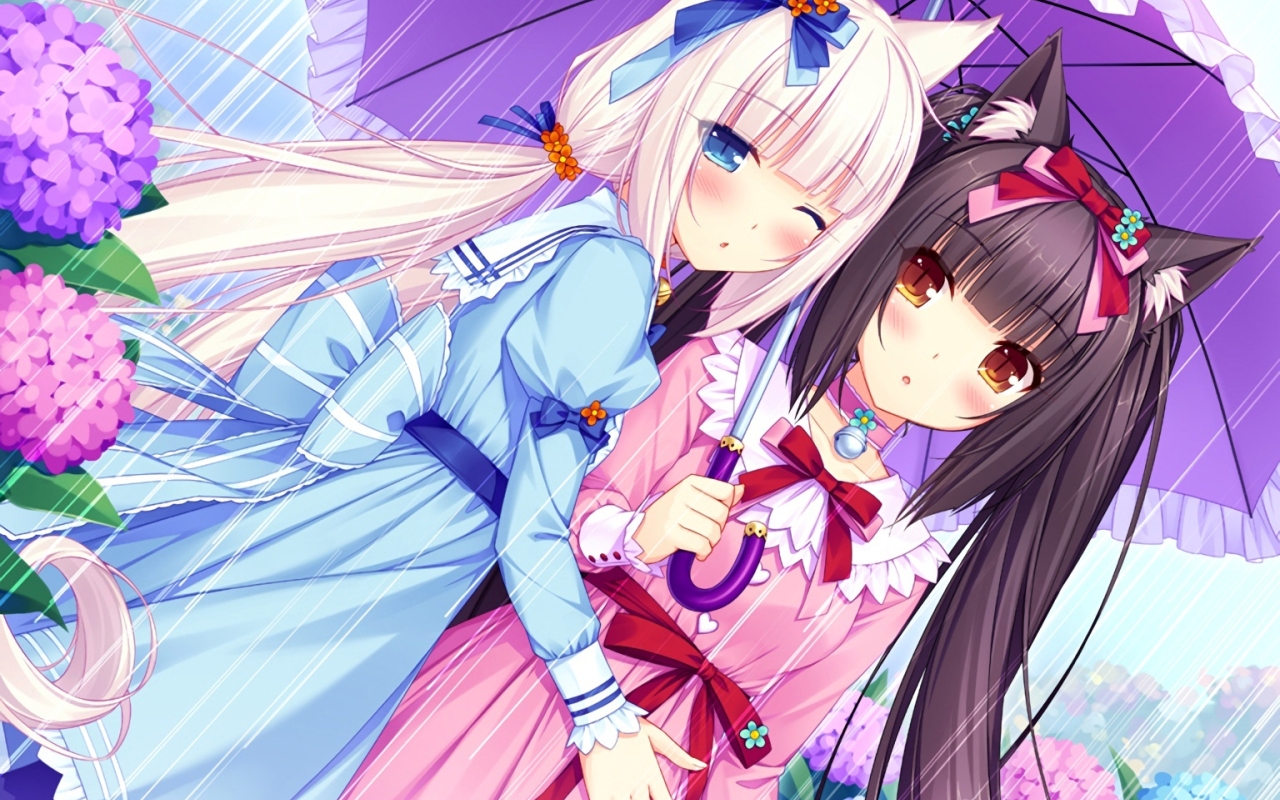 Wallpaper Visual Novel Chocola Nekopara Sayori Dress Resolution