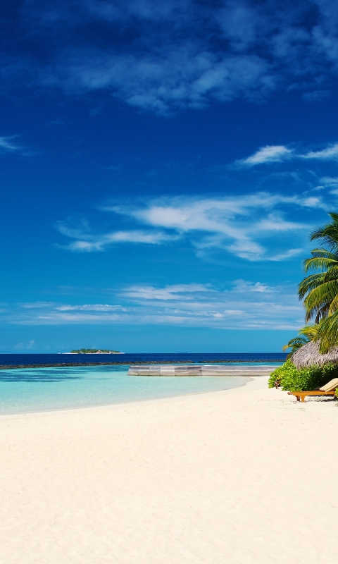 Wallpaper Sky Ocean Tropical Beach Maldives Palm Trees Resolution 3840x2400 Wallpx