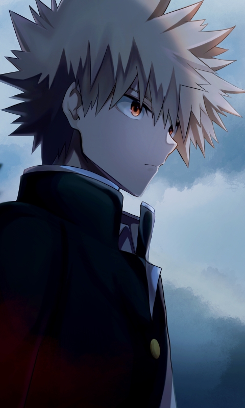 Anime / My Hero Academia (480×800) Mobile Wallpaper - Backgrounds