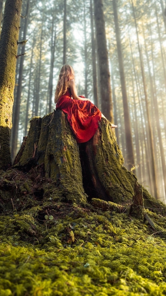 Wallpaper Sitting Trees Girl Forest Resolution 2000x1336 Wallpx