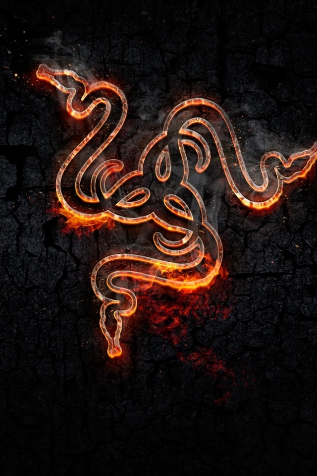 Wallpaper Logo, Razer, Fire, Snake, Gaming - Resolution:1920x1080 - Wallpx