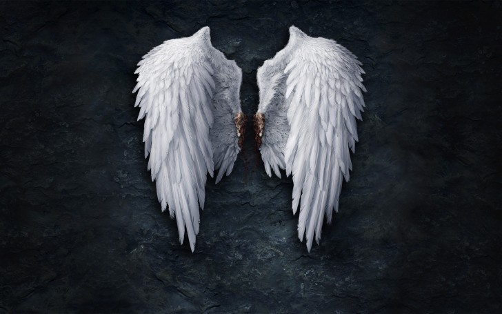 Wallpaper Angel Wings Feathers Resolution1920x1200 Wallpx